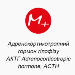 Adrenocorticotropic hormone (ACTH)