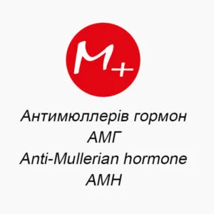 Anti-Mullerian hormone, AMH
