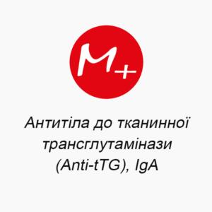 Antibodies to tissue transglutaminase (Anti-tTG), IgA