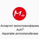Аспартат амінотрансфераза (АсАТ, Aspartate aminotransferase)
