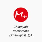 Chlamydia trachomatis (Хламідіоз), IgА