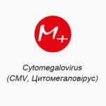 Cytomegalovirus (CMV, Цитомегаловірус)