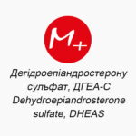 Dehydroepiandrosterone sulfate, DHEAS