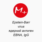 Epstein-Barr virus (ядерный антиген, EBNA), IgG