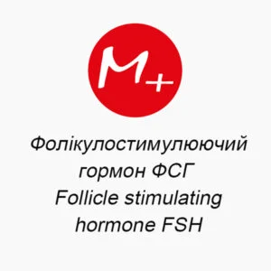 Фолікулостимулюючий гормон, ФСГ (Follicle stimulating hormone, FSH)