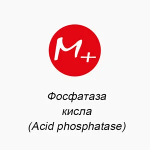 Фосфатаза кисла (Acid phosphatase)