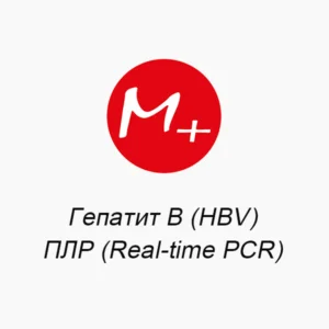 Гепатит В (HBV): ПЛР (Real-time PCR)
