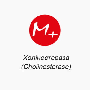 Холінестераза (Cholinesterase)