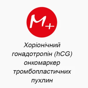 Хорионический гонадотропин (hCG) -онкомаркертромбопластических опухолей.