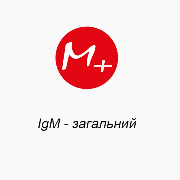 IgM – общий