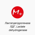 Лактатдегідрогеназа (ЛДГ, Lactate dehydrogenase)