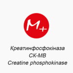 Креатинфосфокіназа (СК-МВ, Сreatine phosphokinase)