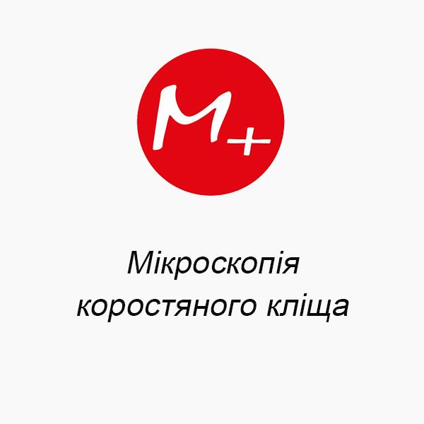 Микроскопия чесоточного клеща Микроскопия чесоточного клеща