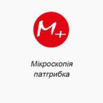 Микроскопия патгрибка