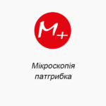 Мікроскопія патгрибка