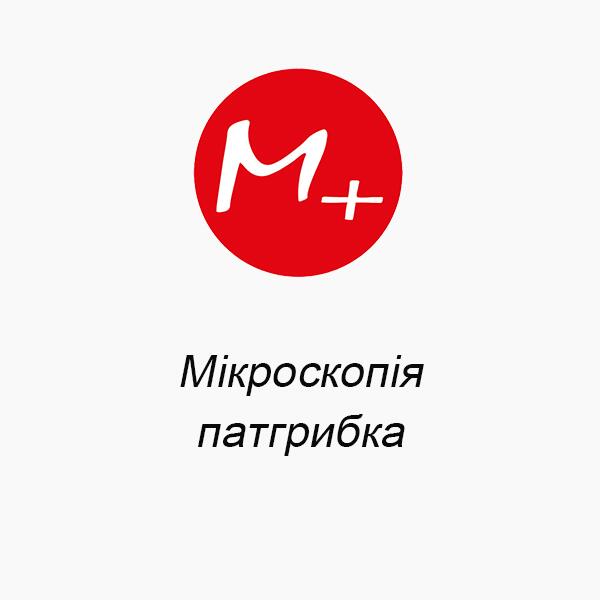 Pathomorphology microscopy Pathomorphology microscopy