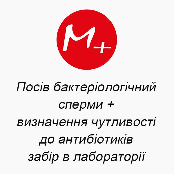 Bacteriological semen culture + determination of antibiotic sensitivity (collection in the laboratory) Bacteriological semen culture + determination of antibiotic sensitivity (collection in the laboratory)