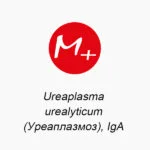 Ureaplasma urealyticum (Уреаплазмоз), IgА
