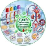 Медична інфографіка: АФ Генітальна система — виявлення мікроорганізмів та чутливості до антибіотиків