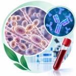 Candida albicans (candidiasis), IgG — laboratory test