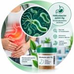 Helicobacter pylori Ag — якісне визначення антигену Хелікобактер Пілорі