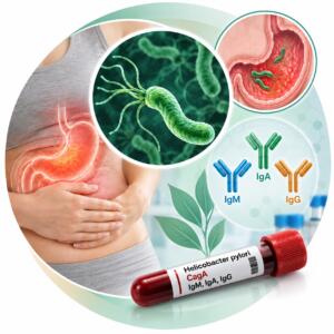 Helicobacter pylori (Хелікобактер Пілорі) — білок CagA, сумарні антитіла IgM, IgA, IgG