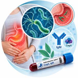 Helicobacter pylori (Хелікобактер Пілорі) — білок CagA, IgM