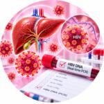 ПЦР-анализ на ДНК вируса гепатита B (HBV DNA) методом Real-time PCR - Меди Лаб Плюс
