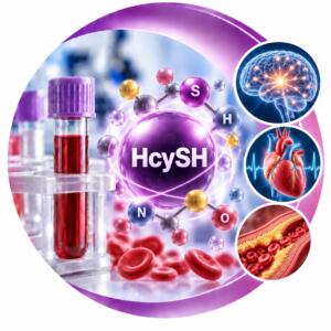 Аналіз гомоцистеїну (HcySH) — Меді Лаб Плюс