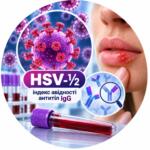 HSV-½ — індекс авідності антитіл IgG