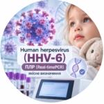 Human herpesvirus (HHV-6) — ПЛР (Real-time PCR), якісне визначення