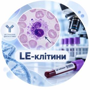 LE cells — blood cell research