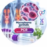 Mycoplasma genitalis – качественное PCR-исследование