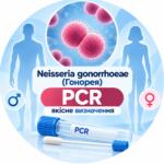 Neisseria gonorrhoeae — qualitative PCR detection