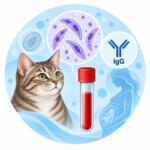 Toxoplasma gondii — антитіла IgG