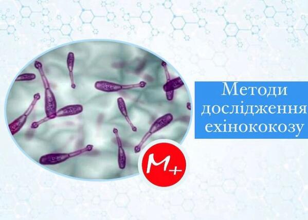 Ехінокок