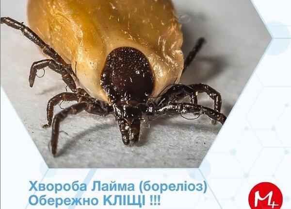 Хвороба Лайма