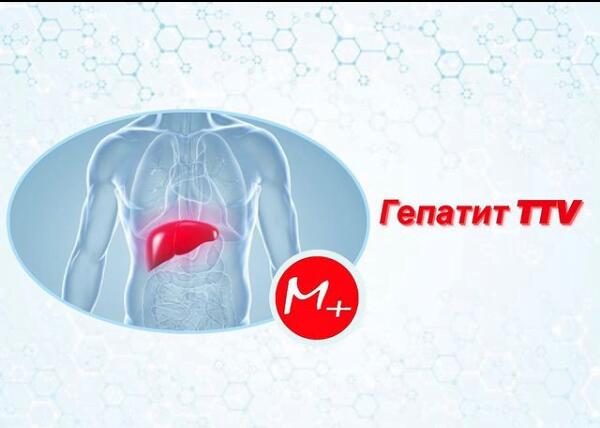 Hepatitis TTV