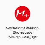 Schistosoma mansoni (Шистосомоз (Бильгарциоз)), IgG
