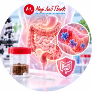 Quantitative determination of fecal calprotectin for the assessment of intestinal inflammation — Medi Lab Plus