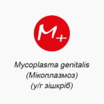 Mycoplasma genitalis (Микоплазмоз) (в/г соскреб)