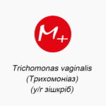 Trichomonas vaginalis (Трихомониаз) (в/х соскреб)