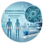 Медицинская графика в синих тонах для качественного ПЦР-теста на Ureaplasma urealyticum (Уреаплазмоз) с изображением клеток, пробирок и силуэтов