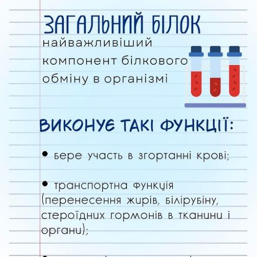 Основні функції загального білка – згортання крові, транспортування поживних речовин