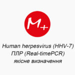 Human herpesvirus (HHV-7): PCR (Real-timePCR) - qualitative determination
