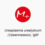 Ureaplasma urealyticum (Уреаплазмоз), IgM