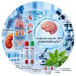 Medical infographic: Alpha-fetoprotein (AFP) test — a biochemical marker