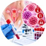 Determination of DNA of human papillomavirus types 6, 11 and 44 - laboratory diagnostics of HPV