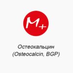 Osteocalcin (Osteocalcin, BGP)