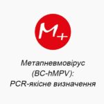 Метапневмовирус (BC-hMPV): PCR-качественное определение